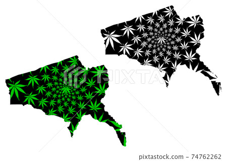 Tete Province (Provinces of Mozambique, Republic of Mozambique) map is designed cannabis leaf green and black, Tete map made of marijuana (marihuana,THC) foliage.... Tete Province (Provinces of Mozambique, Republic of Mozambique) map is designed cannabis leaf green and black, Tete map made of marijuana (marihuana,THC) foliage.... 74762262