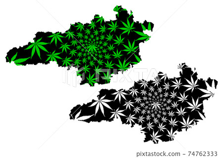 Kirovohrad Oblast (Administrative divisions of Ukraine) map is designed cannabis leaf green and black, Kirovohradschyna (Kropyvnytskyi) map made of marijuana (marihuana,THC) foliage.... 74762333