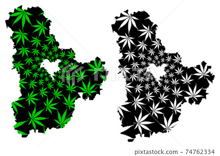 Kiev Oblast (Administrative divisions of Ukraine, Oblasts of Ukraine) map is designed cannabis leaf green and black, Kyiv Oblast (Kyivshchyna) map made of marijuana (marihuana,THC) foliage.... Kiev Oblast (Administrative divisions of Ukraine, Oblasts of Ukraine) map is designed cannabis leaf green and black, Kyiv Oblast (Kyivshchyna) map made of marijuana (marihuana,THC) foliage.... 74762334