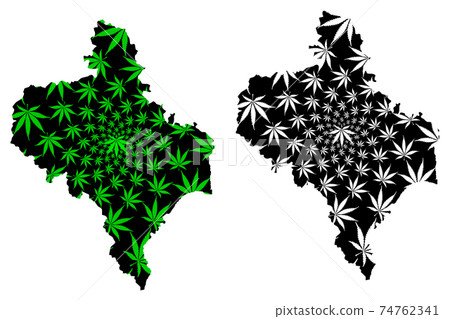 Ivano-Frankivsk Oblast map is designed cannabis leaf green and black, Prykarpattia (Stanislavshchyna or Stanislavivshchyna) map made of marijuana (marihuana,THC) foliage.... 74762341
