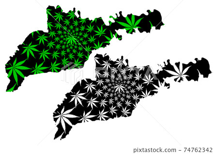 Chernivtsi Oblast (Administrative divisions of Ukraine, Oblasts of Ukraine) map is designed cannabis leaf green and black, Chernivtsi map made of marijuana (marihuana,THC) foliage.... 74762342