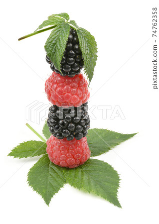 Ripe blackberry and raspberry 74762358