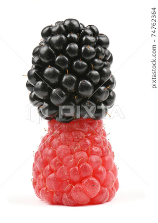 Ripe blackberry and raspberry Ripe blackberry and raspberry 74762364