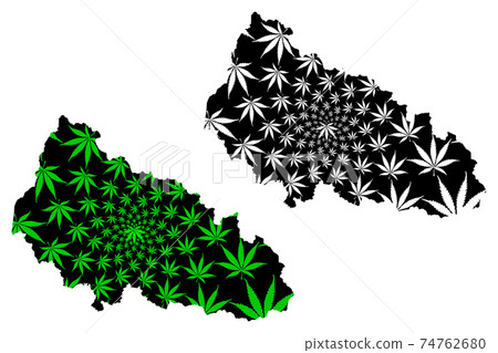 Zakarpattia Oblast (Administrative divisions of Ukraine, Oblasts of Ukraine) map is designed cannabis leaf green and black, Zakarpattia map made of marijuana (marihuana,THC) foliage.... 74762680