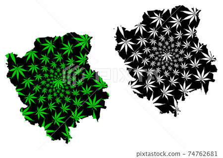Volyn Oblast (Administrative divisions of Ukraine) map is designed cannabis leaf green and black, scribble sketch Volyn (Volyn or Wolyn) map made of marijuana (marihuana,THC) foliage.... Volyn Oblast (Administrative divisions of Ukraine) map is designed cannabis leaf green and black, scribble sketch Volyn (Volyn or Wolyn) map made of marijuana (marihuana,THC) foliage.... 74762681