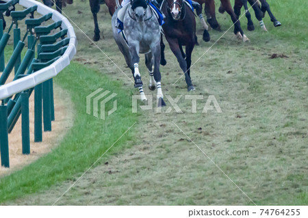 Running, running, horse racing, gambling, gambling, main race, date, betting ticket, sightseeing, rain, afternoon, umbrella, congestion 74764255