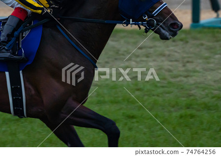 Running, running, horse racing, gambling, gambling, main race, date, betting ticket, sightseeing, rain, afternoon, umbrella, congestion Running, running, horse racing, gambling, gambling, main race, date, betting ticket, sightseeing, rain, afternoon, umbrella, congestion 74764256