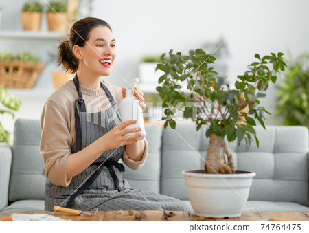 Woman caring for plants Woman caring for plants 74764475