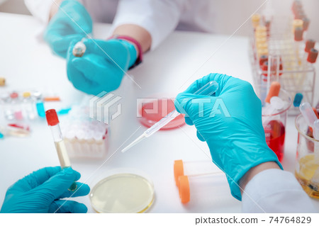 Scientist examining solution in petri dish at a laboratory. Doctor examines coronavirus test on petri dish in hospital. Scientist examining solution in petri dish at a laboratory. Doctor examines coronavirus test on petri dish in hospital. 74764829