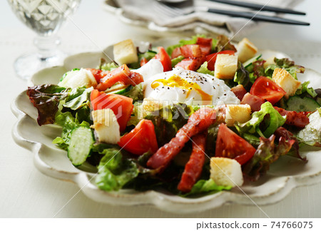 Lyon salad 74766075