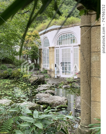 Water lily pond 74766152