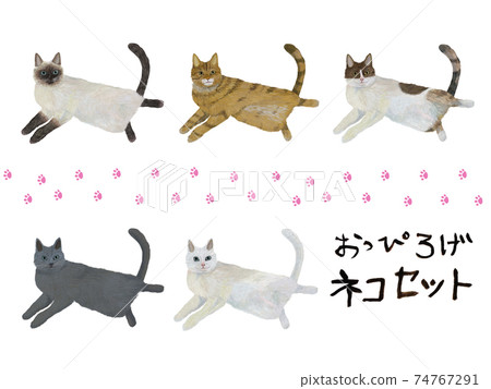 Oppiroge cat set 74767291