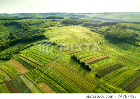 Aerial view of green agricultural fields in spring with fresh vegetation after seeding season on a warm sunny day. 74767455