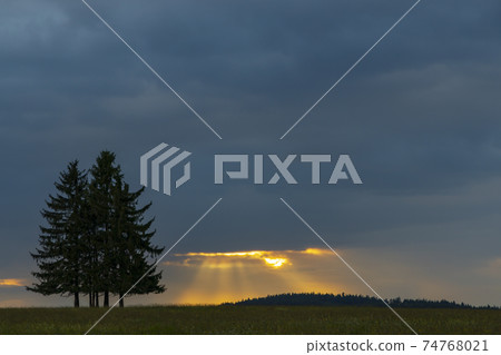 Landscape at sunset in Slavkovsky les near Horni Slavkov, Western Bohemia, Czech Republic 74768021