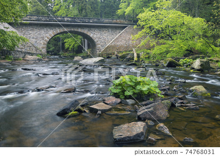 Divoka Orlice river in Zemska brana nature reserve, Orlicke mountains, Eastern Bohemia, Czech Republic 74768031