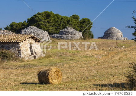 Trulli, typical houses near Castel del Monte, Apulia region, Italy Trulli, typical houses near Castel del Monte, Apulia region, Italy 74768525