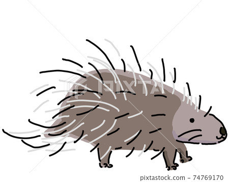 porcupine 74769170