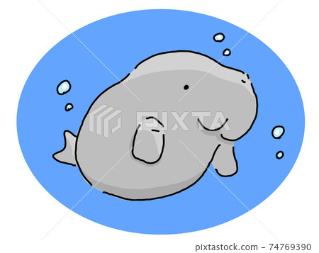 Dugong (underwater) 74769390