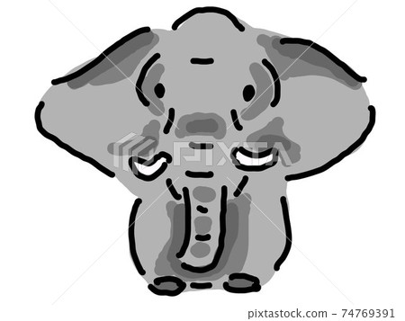 elephant  74769391