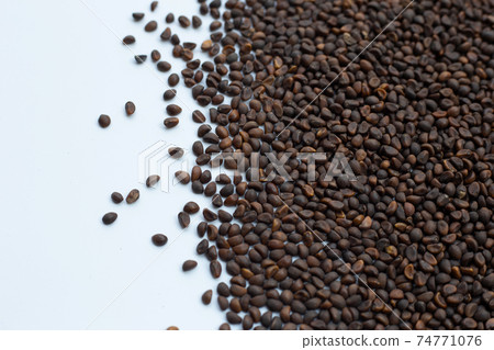 Black seed of morning glory 74771076