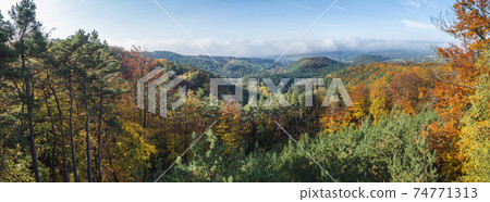 Panoramic view of colorful vivid deciduous beech and pine tree forest and hills from viewpoint called Vyhlidka na Rip at nature park Kokorinsko, Czech republic. Autumn sunny day. 74771313