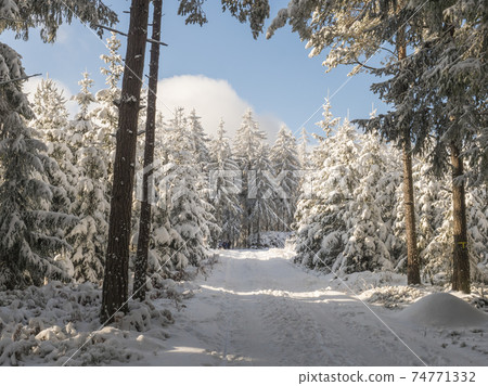 Snowy road in winter forest with snow covered spruce trees Brdy Mountains, Hills in central Czech Republic, sunny day 74771332