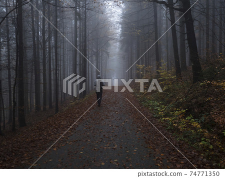 Man figure walking at road in dark mysterious misty beech tree forest covered with fallen leaves and fog. Moody autumn landscape Man figure walking at road in dark mysterious misty beech tree forest covered with fallen leaves and fog. Moody autumn landscape 74771350