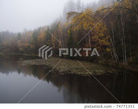 Forest lake, pond with autumn colorful birch, beech and spruce trees and water lily. Partialy covered by thick fog. Moody dark landscape at Luzicke hory Lusatian Mountains, Czech Republic. 74771351
