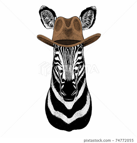 Zebra vector portrait. Head of african wild animal zebra. 74772055