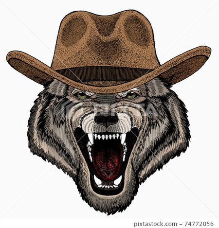 Vector portrait of wolf. Cool wild wolf. Animal head. 74772056