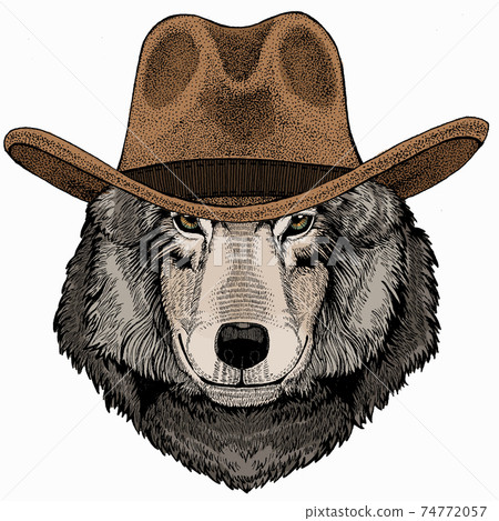 Vector portrait of wolf. Cool wild wolf. Animal head. 74772057