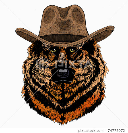 Shepherd Dog vector portrait. Dog head, face. 74772072