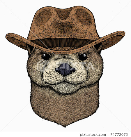Vector portrait of otter. Head of wild animal. 74772073