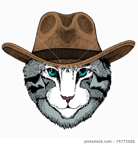 Cat head. Vector animal portrait. Face of kitten. Cat head. Vector animal portrait. Face of kitten. 74772088
