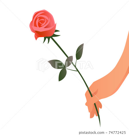 Beautiful female hand with a rose flower on white background 74772425