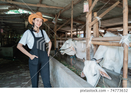 Confident female farmer wearing cowboy hat in the cow cowshed Confident female farmer wearing cowboy hat in the cow cowshed 74773632