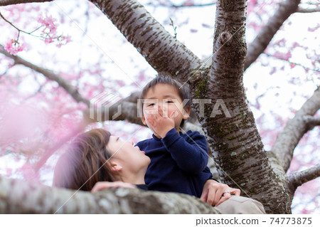Family photo cherry blossom viewing 74773875