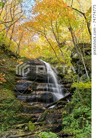 A view of a waterfall surrounded by autumn leaves seen in the Oirase Gorge in late autumn @ Aomori A view of a waterfall surrounded by autumn leaves seen in the Oirase Gorge in late autumn @ Aomori 74774775