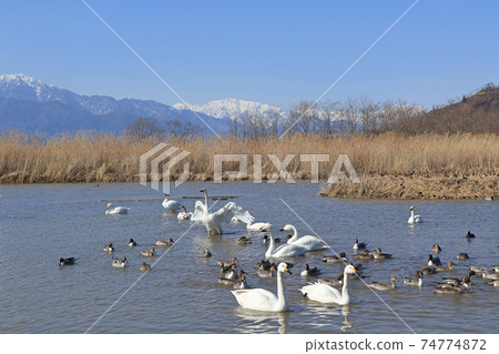 Winter Azumino Shiratori and Northern Alps 74774872