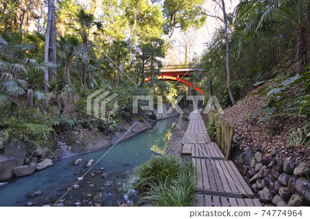Todoroki Valley Park Morning Sidewalk Walking Path 74774964