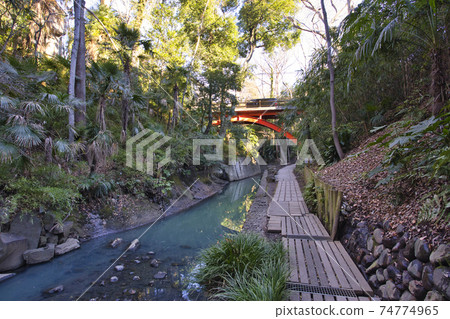 Todoroki Valley Park Morning Sidewalk Walking Path 74774965