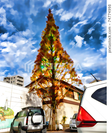 Abstract impression of a dead and dried out pine tree, in a car park. 74774998