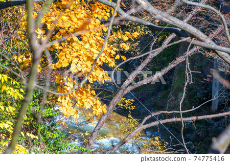 水上橋音川水上溫泉的風景 水上橋音川水上溫泉的風景 74775416
