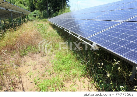 Solar power plant weed impact shadow Solar power plant weed impact shadow 74775562