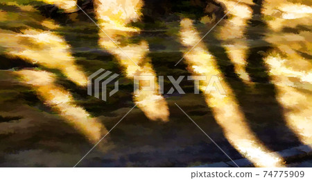 Golden sun rays cast dark shadows of trees and branches onto yellow, dried out grass. 74775909