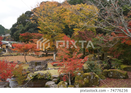 大分縣中津市八千里町大坂的風景 大分縣中津市八千里町大坂的風景 74776236