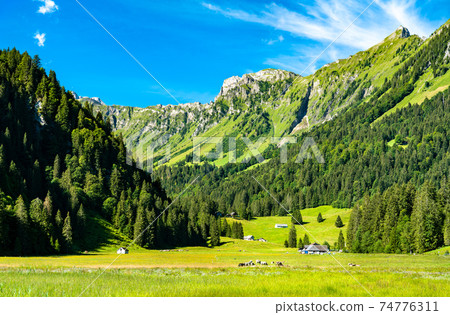 Landscape of the Obersee Valley in Switzerland Landscape of the Obersee Valley in Switzerland 74776311