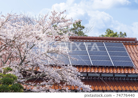 Eco House_Solar Panel, Cherry Blossoms and Sky 74776440