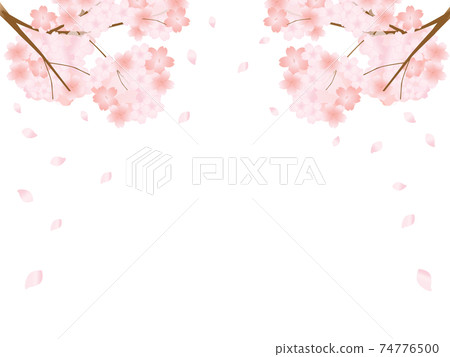 櫻花框架背景圖 櫻花框架背景圖 74776500