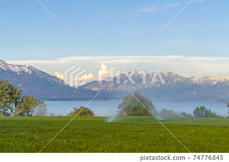 Green grass irrigated by sprinklers with lake and snowy mountain in background 74776845